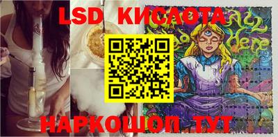 гидра Камышлов