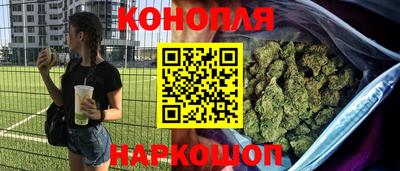 гидра Камышлов