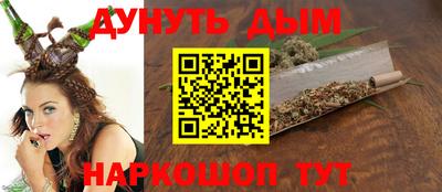 гидра Камышлов