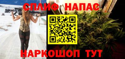 гидра Камышлов