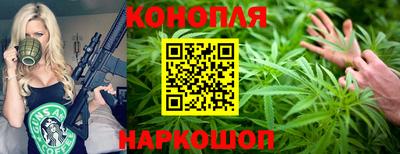 гидра Камышлов