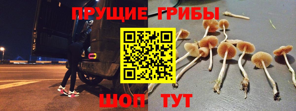 Псилоцибиновые грибы ЛСД  Вход с VPN  Саянск 